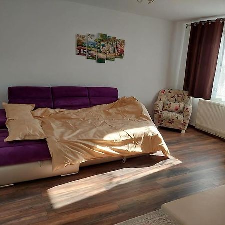 Apartament In Sighetu Marmatiei Διαμέρισμα Εξωτερικό φωτογραφία