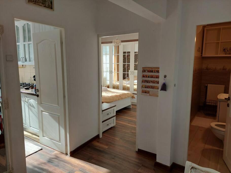 Apartament In Sighetu Marmatiei Διαμέρισμα Εξωτερικό φωτογραφία